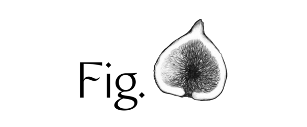 Fig logo